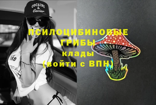 ешки Алексеевка
