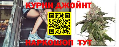мдпв Тара
