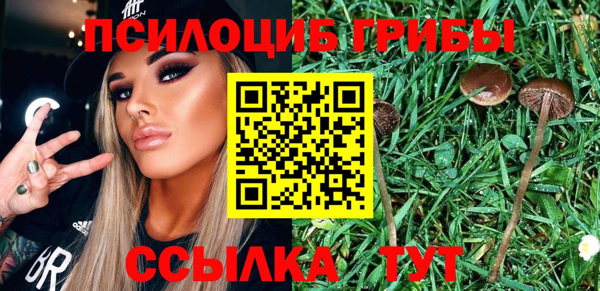 Старая Русса  Псилоцибиновые грибы GOLDEN TEACHER  Галлюциногенные грибы ЛСД  Вход с VPN 