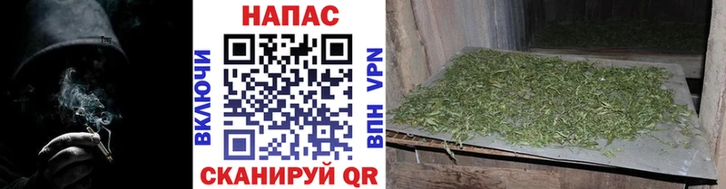 маркетплейс клад Старая Русса Бошки Шишки Bruce Banner